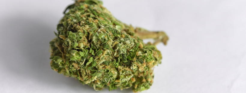 What Are Indica-Dominant Hybrid Strains