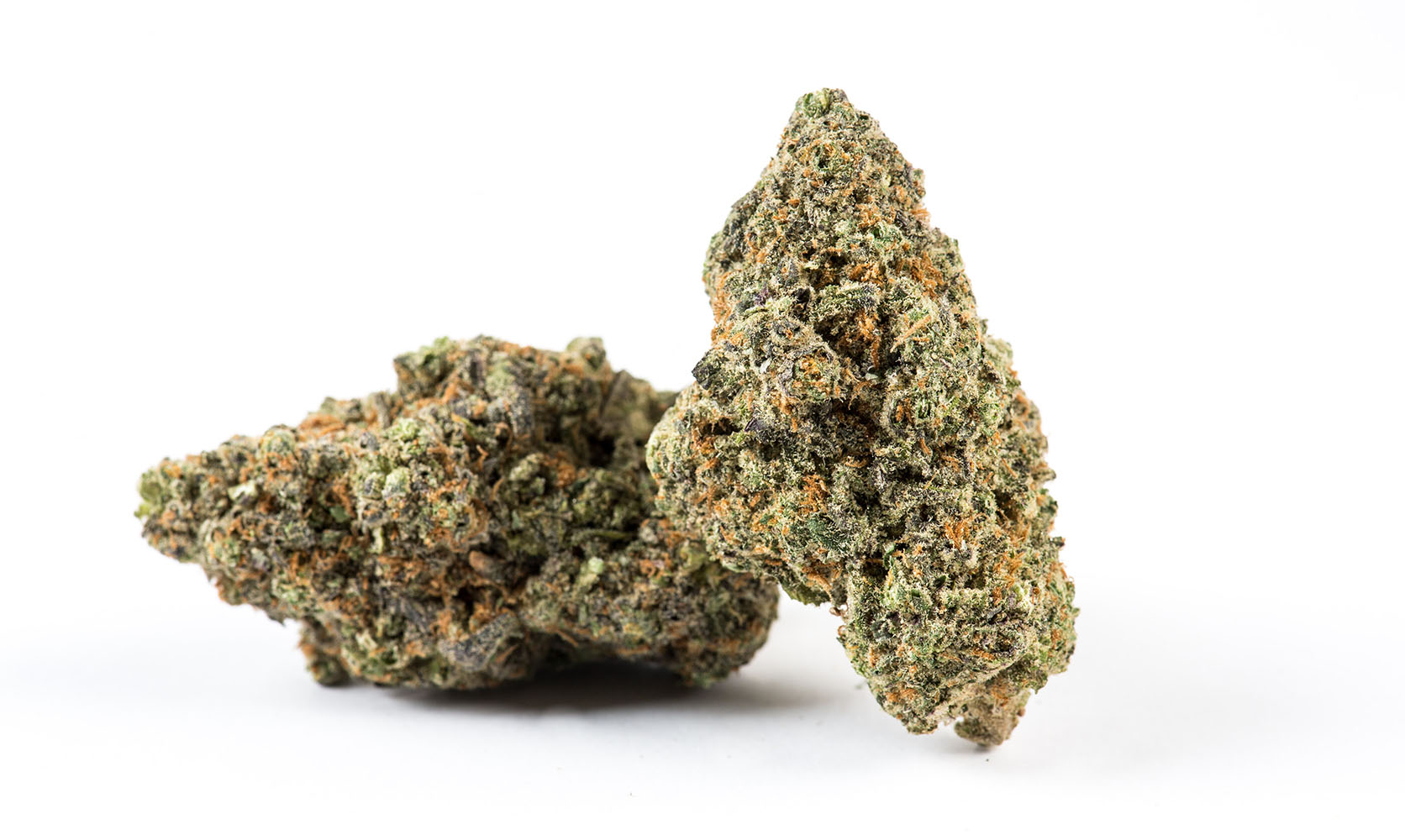 Death cookie strain buds for sale weed online Canada. order weed online mail order marijuana.