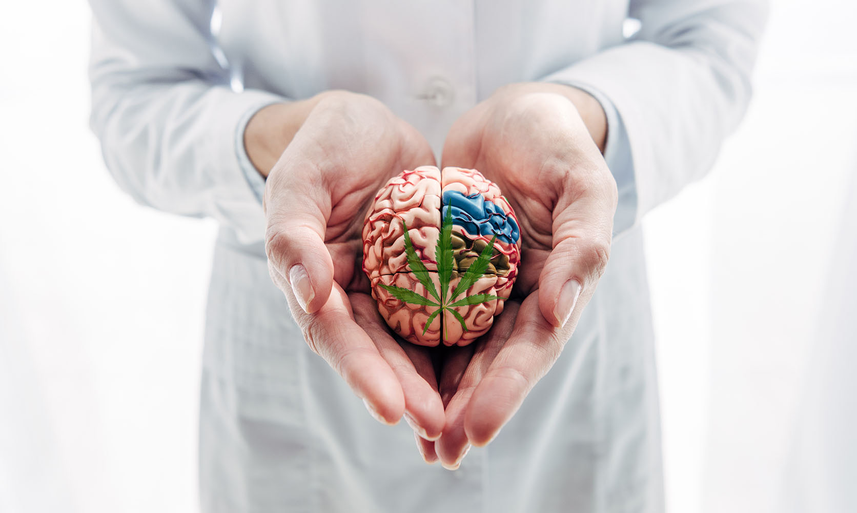 Nursed holding a model of the brain in her hands. weed online canada. order cannabis online. buy weed online.