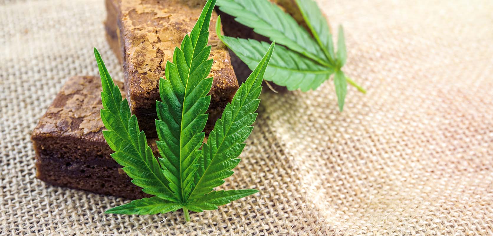 weed brownies and cannabis leaf.  buy online weeds. best online dispensary canada. mail order marijuana.