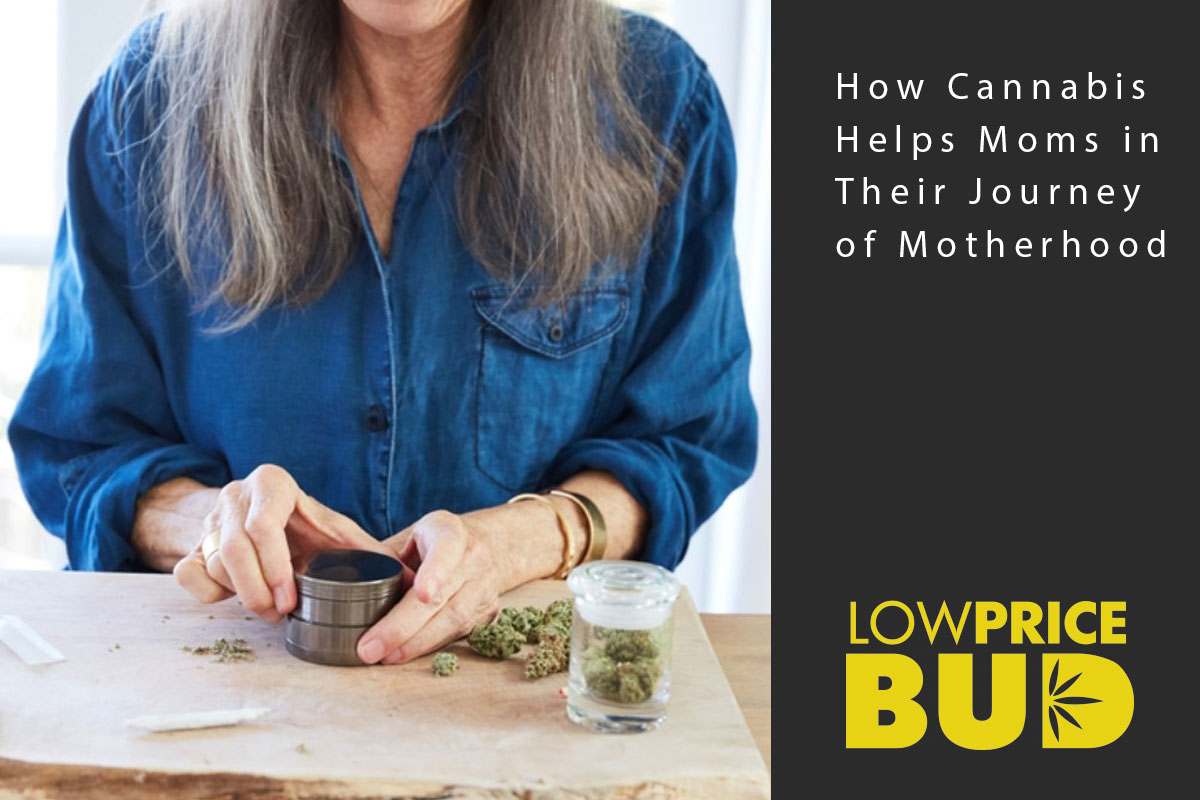 cannabis and motherhood