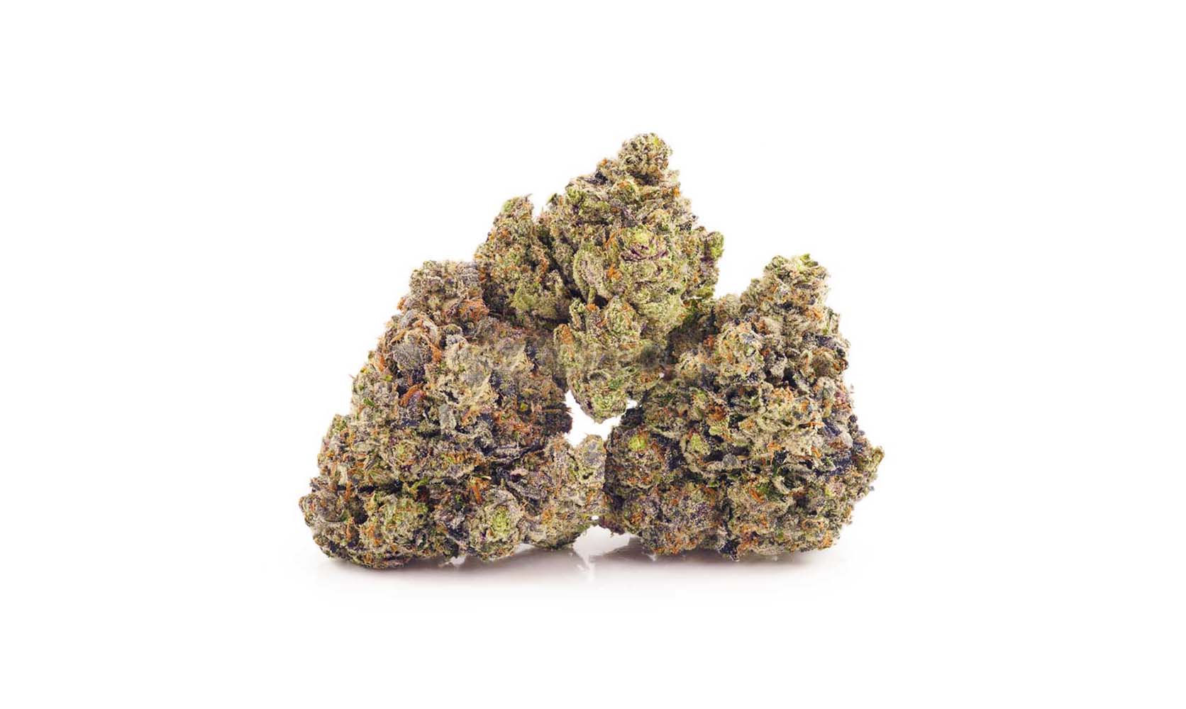 Buy weed online Purple Space Cookies strain.