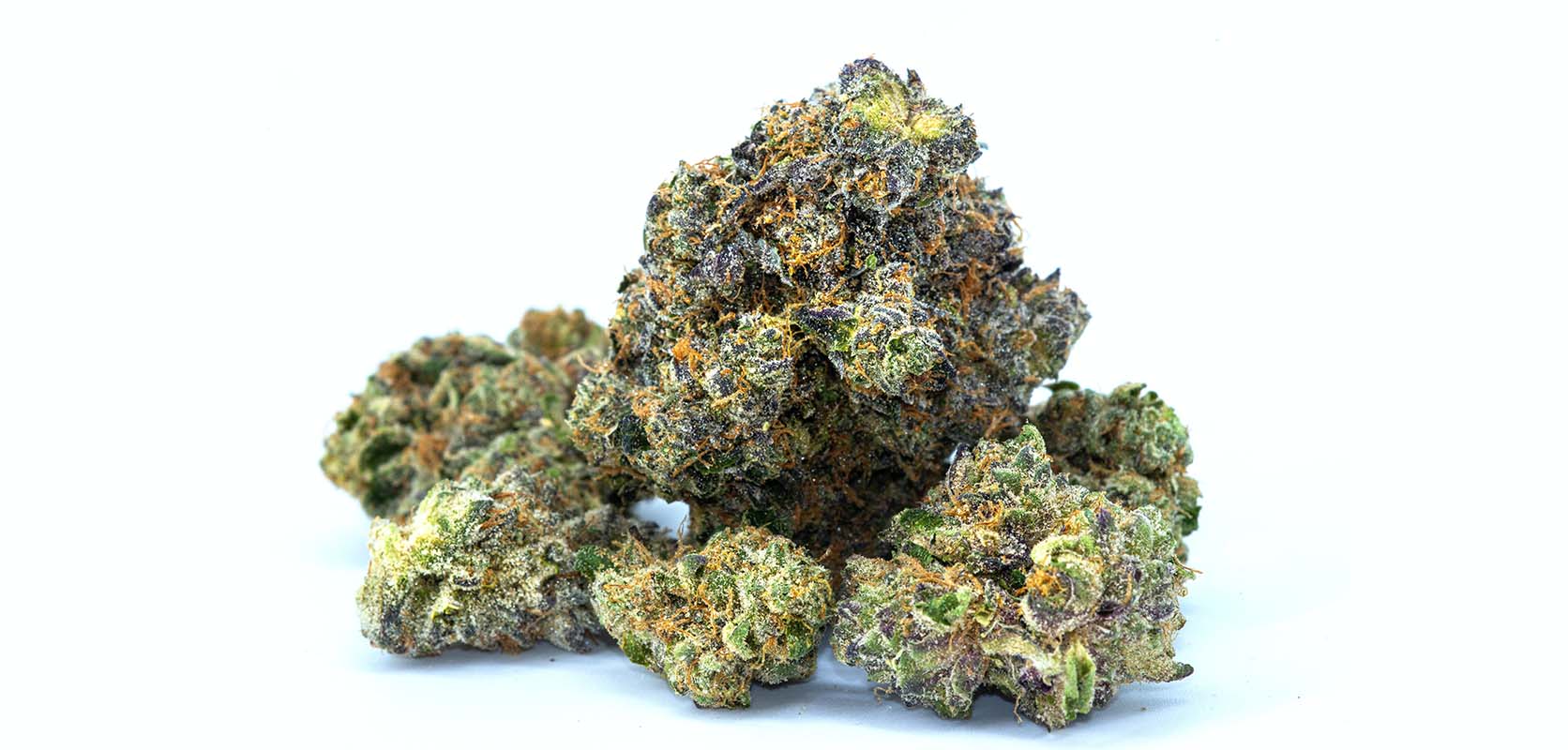 Purple space cookies buds. weed online canada. buy online weeds. best online dispensary canada. mail order marijuana.