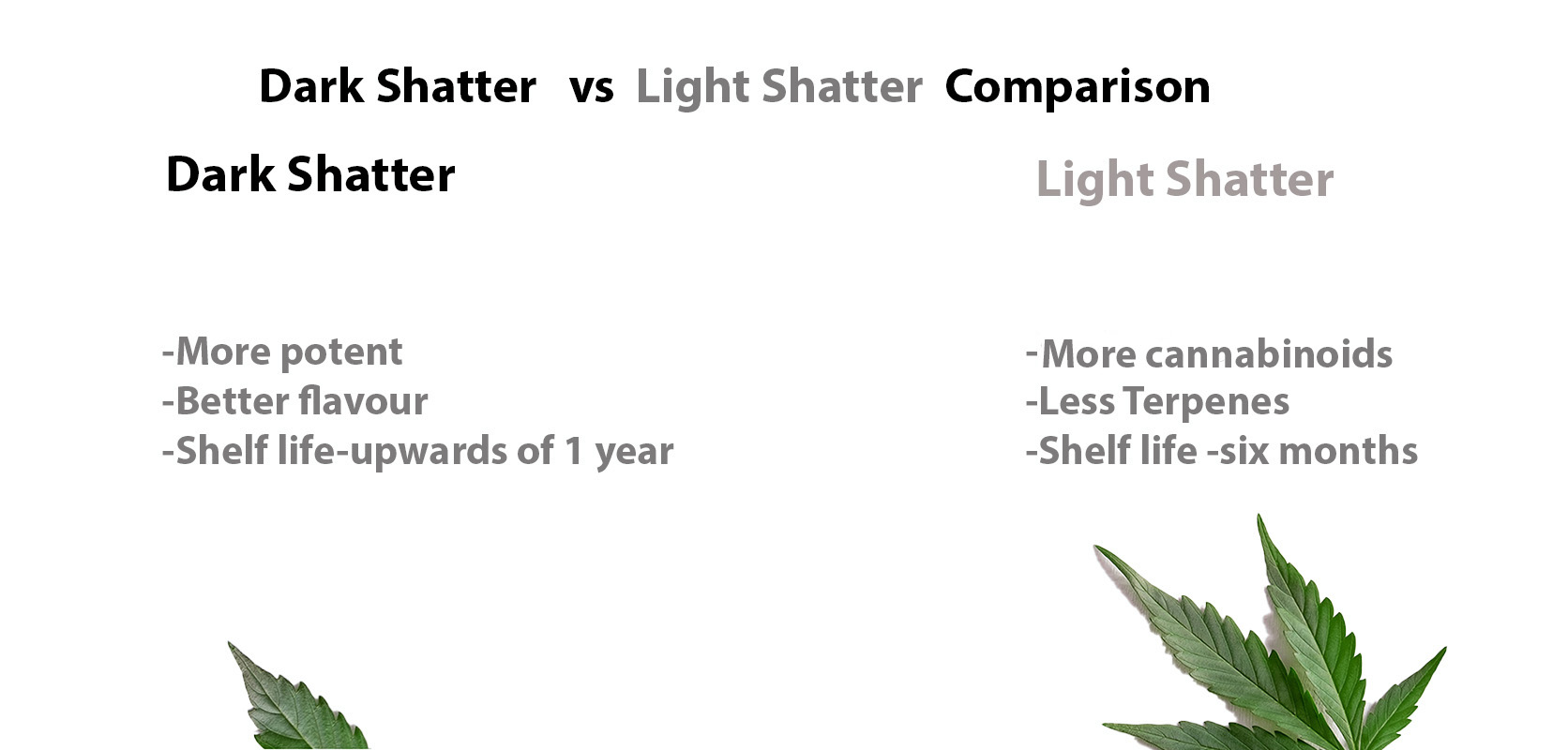 Pros And Cons Of Light Shatter And Dark Shatter. Where can I buy weed online and buy cheap pot in canada. biscotti strain, mendo breath, candyland strain for sale.