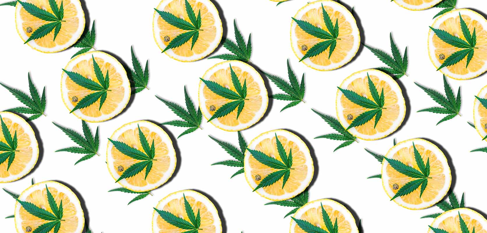 Lemons with cannabis leaves. Terpenes concept. What Does HTFSE Mean?