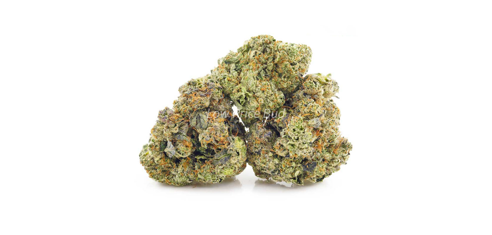 Astroboy weed online Canada. thc oil. budget buds. dispensary vancouver. cheap weed canada. Dispencary.