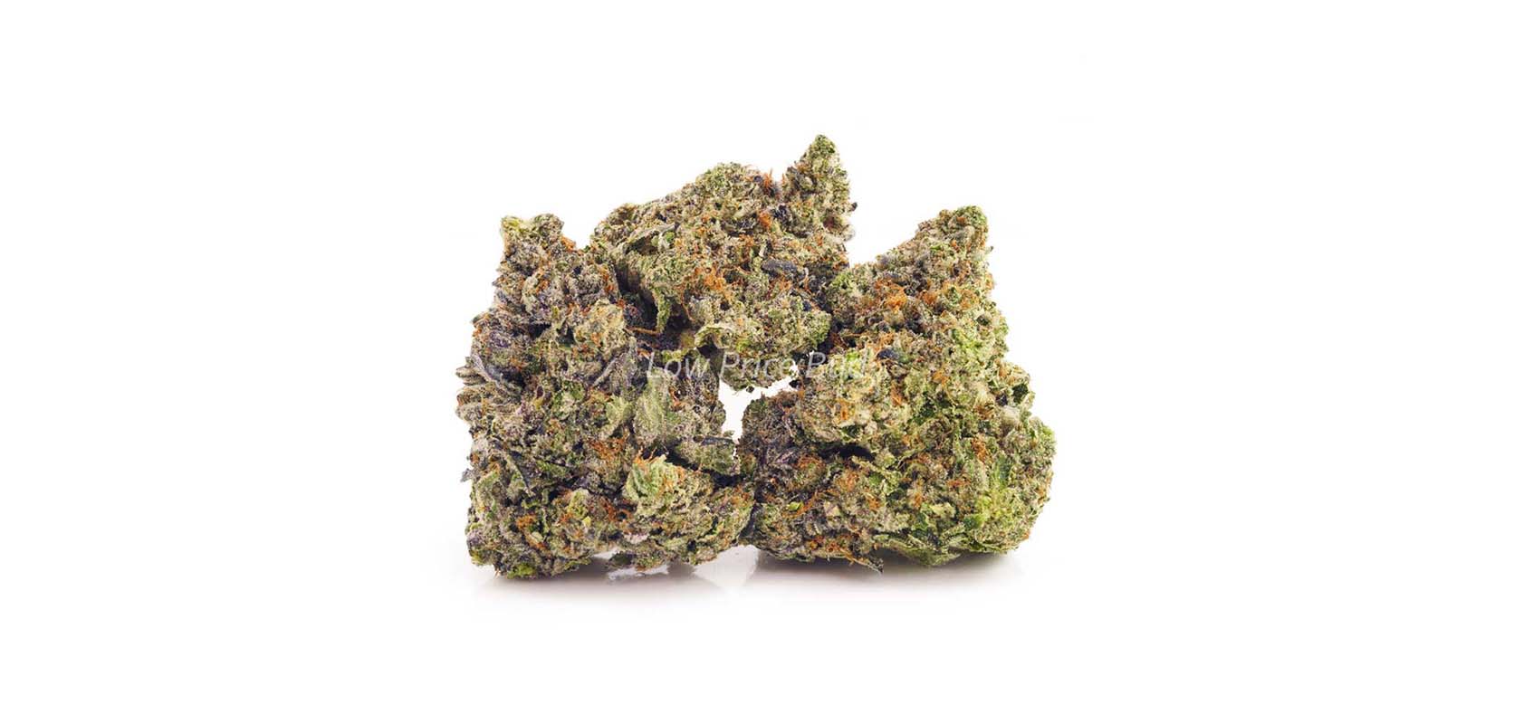 Buy Craft Cannabis Blue Magoo Cookies strain BC cannabis. Buy weeds online. Shatter and shatter weed shatter drug for sale. 