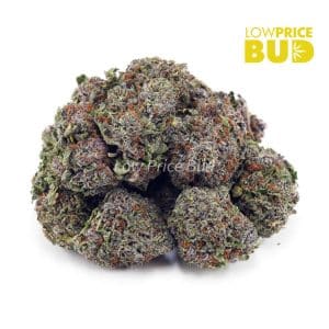 Incredible Hulk (AAAA) Buy Incredible Hulk (AAAA) online Canada