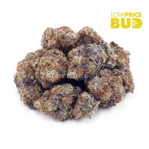 Buy King Louie XIII (AAAA) online Canada