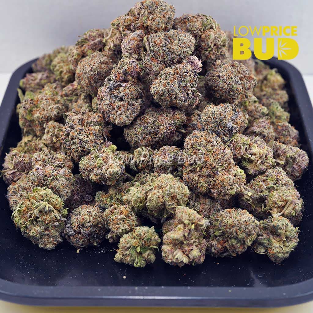 Alaskan Thunder Fuck (AAAA) Buy Alaskan Thunder Fuck (AAAA) online Canada
