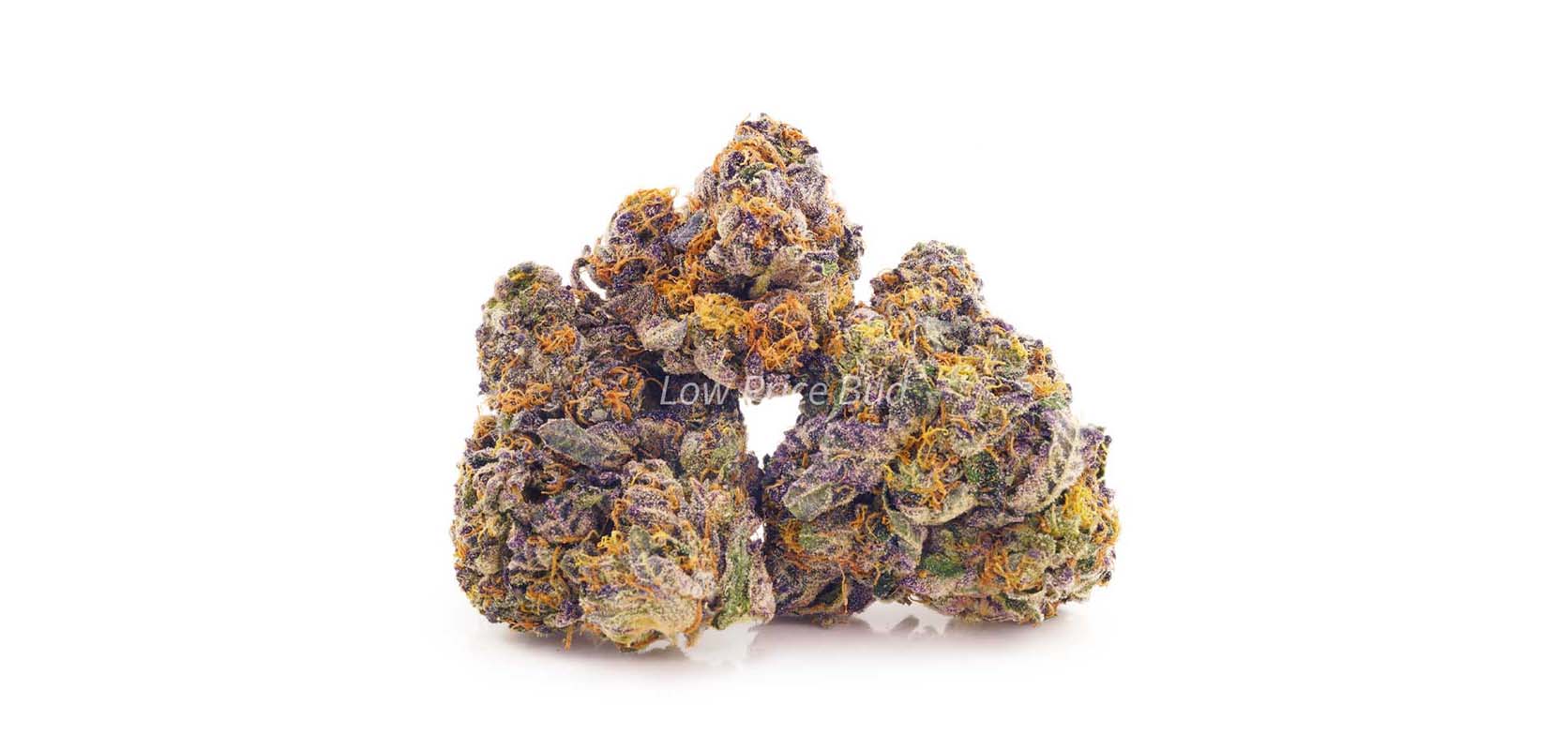potent weed online canada from weed dispensary for mail order marijuana. strongest hybrid strains. ontario marijuana. edibles canada. pot shop to buy weed online. Dispencary.