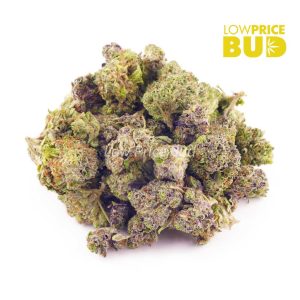 Buy Jet Fuel (AAAA) – Popcorn Nugs online Canada