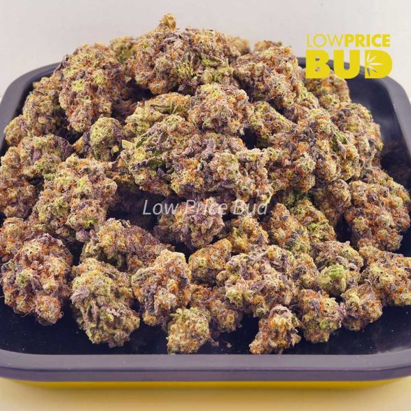 Buy Layer Cake (Craft Cannabis) online Canada