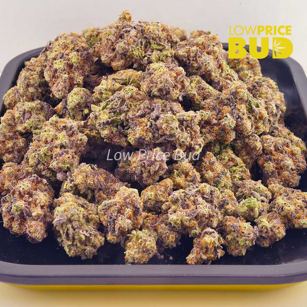 Layer Cake (Craft Cannabis) Buy Layer Cake (Craft Cannabis) online Canada