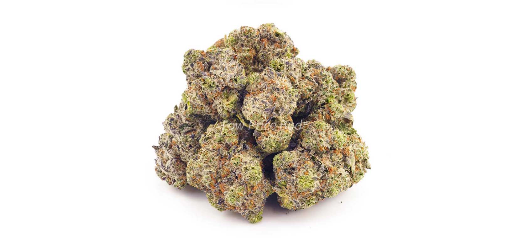 Lemon Pound Cake weed online from weed dispensary for BC cannabis. buy weeds online. pot shop. cannabis dispensary.