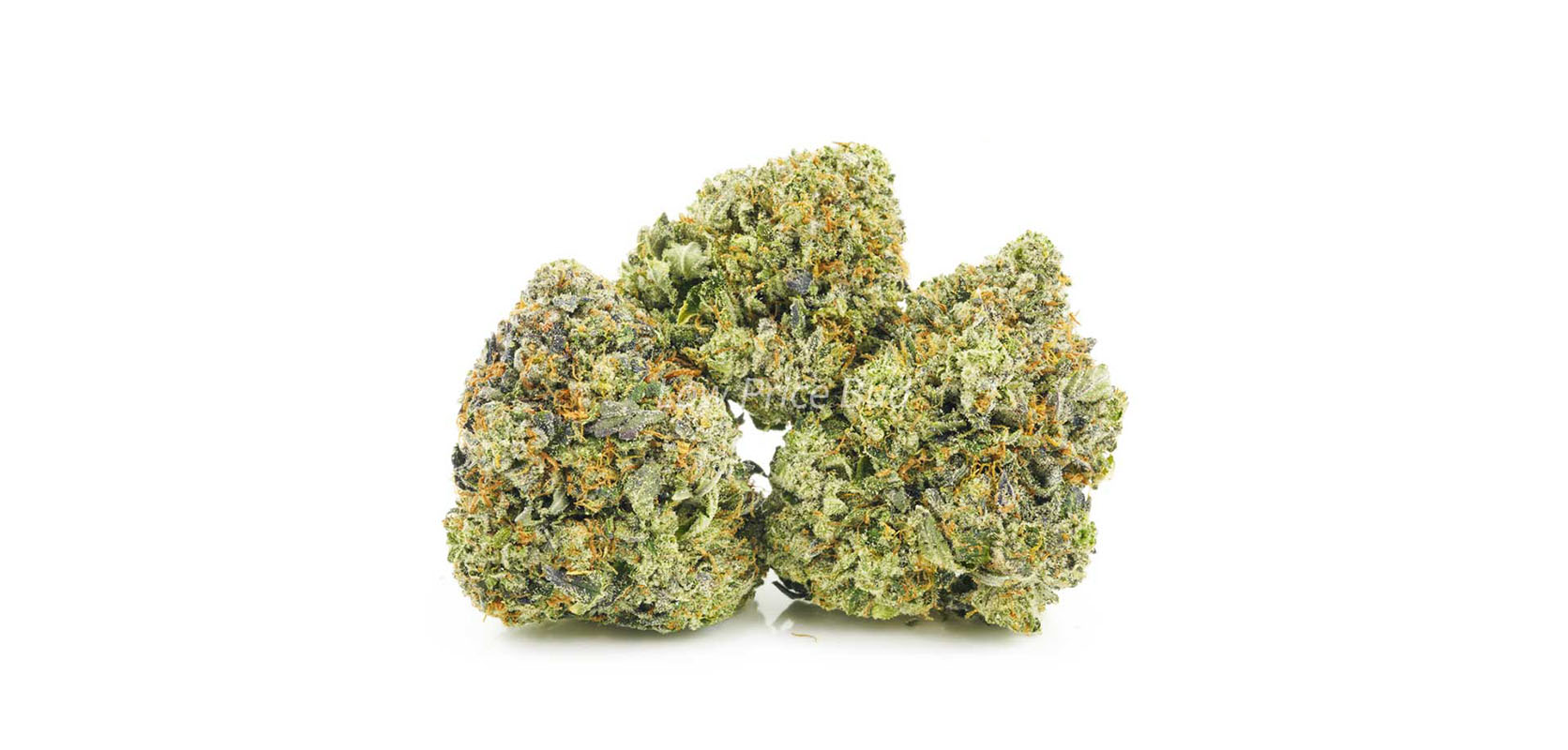 Master Jedi weed online. Strongest hybrid strain in Canada from the best online weed dispensary. cheap weed delivery canada.