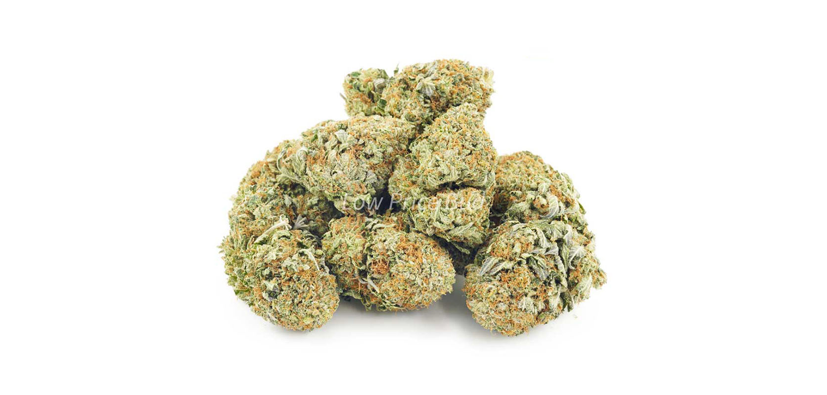 Maui Wowie weed online Canada. weed dispensary. cannabis canada. buy weeds online. 