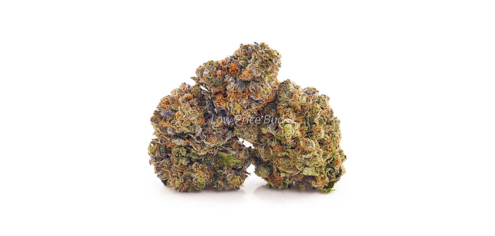 Pink Death Star weed online Canada. One of the best indica strains when buying weed online from a weed dispensary.