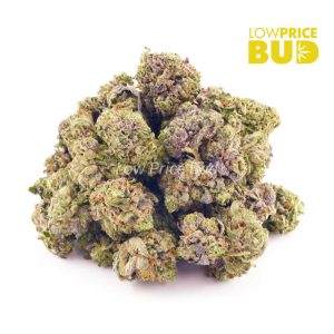 Buy Pink Deathstar (AAAA) – Popcorn Nugs online Canada