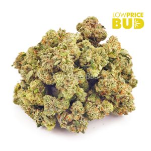 Buy Pink Punch (AAAA) – Popcorn Nugs online Canada