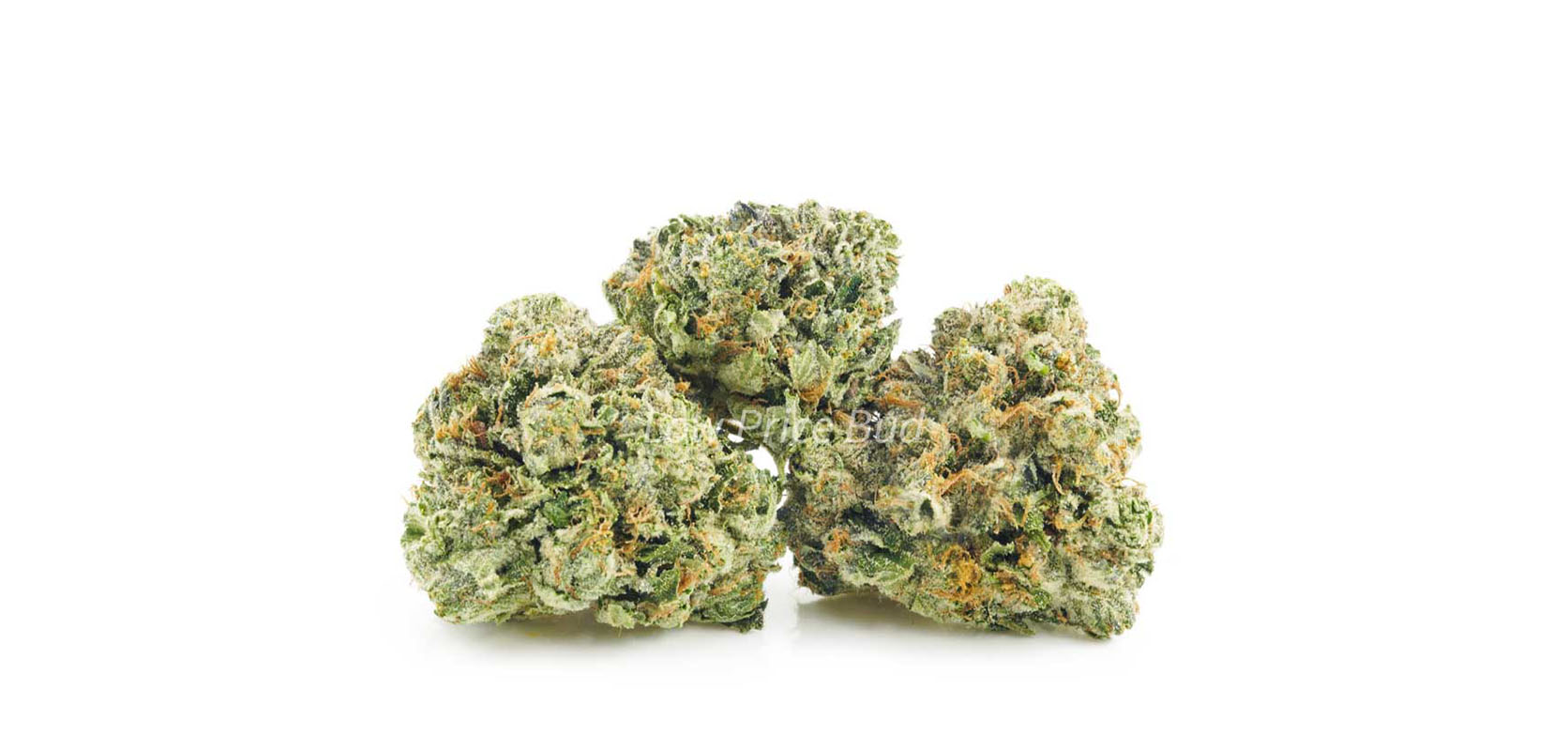 Pink Rockstar weed online BC cannabis. Canadian online dispensary. marijuana dispensary. budgetbuds. weed edibles. canada weed. Dispencary.