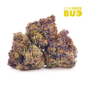 Buy Purple Urkle (AAAA) online Canada