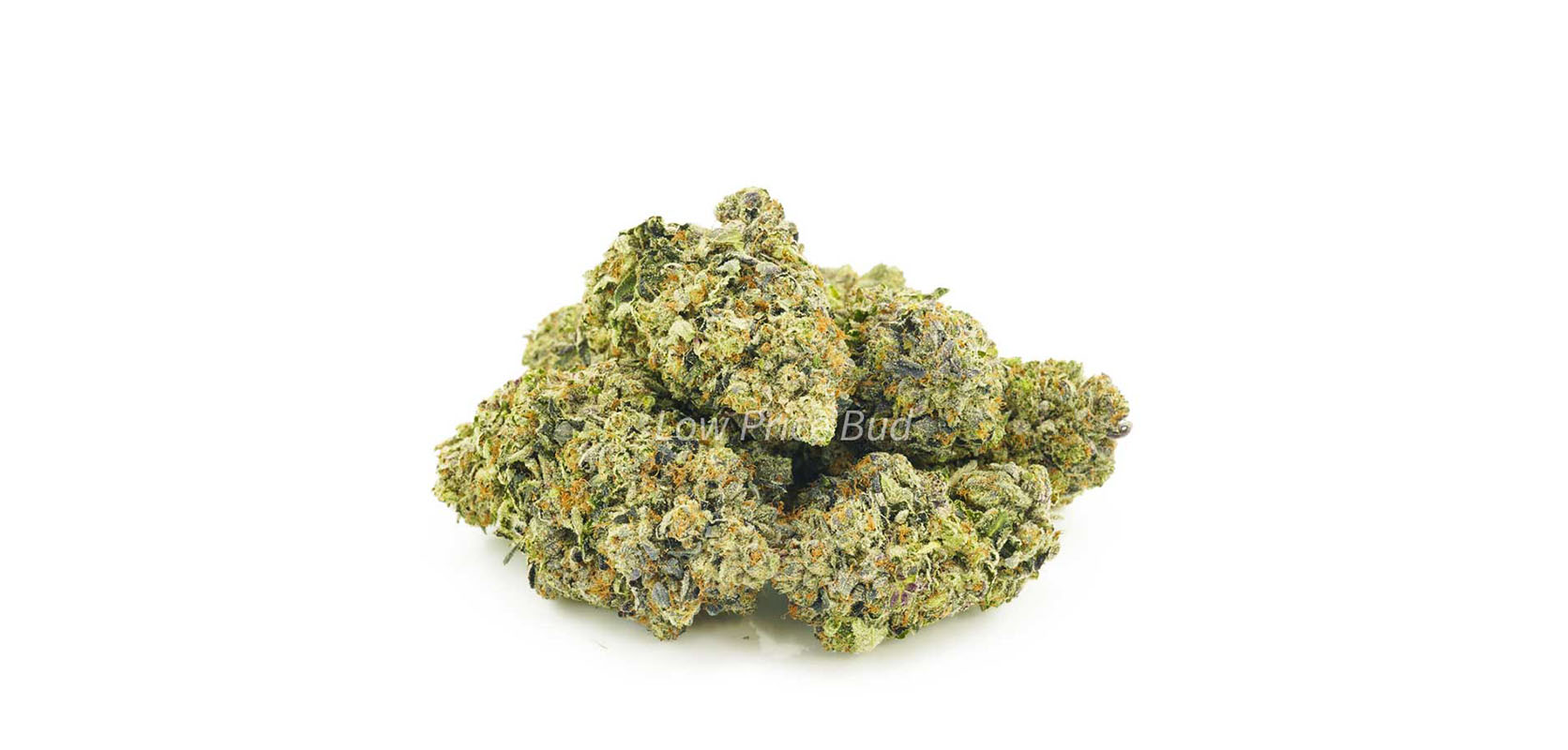 Bubba Kush weed online Canada. Order weed online. Low Pice Bud Cheap Weed.