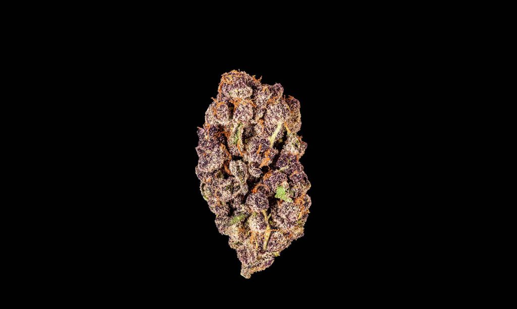Cali Bubba Strain bud. Cali Bubba Strain review. Buy weed. Online dispensary Canada.