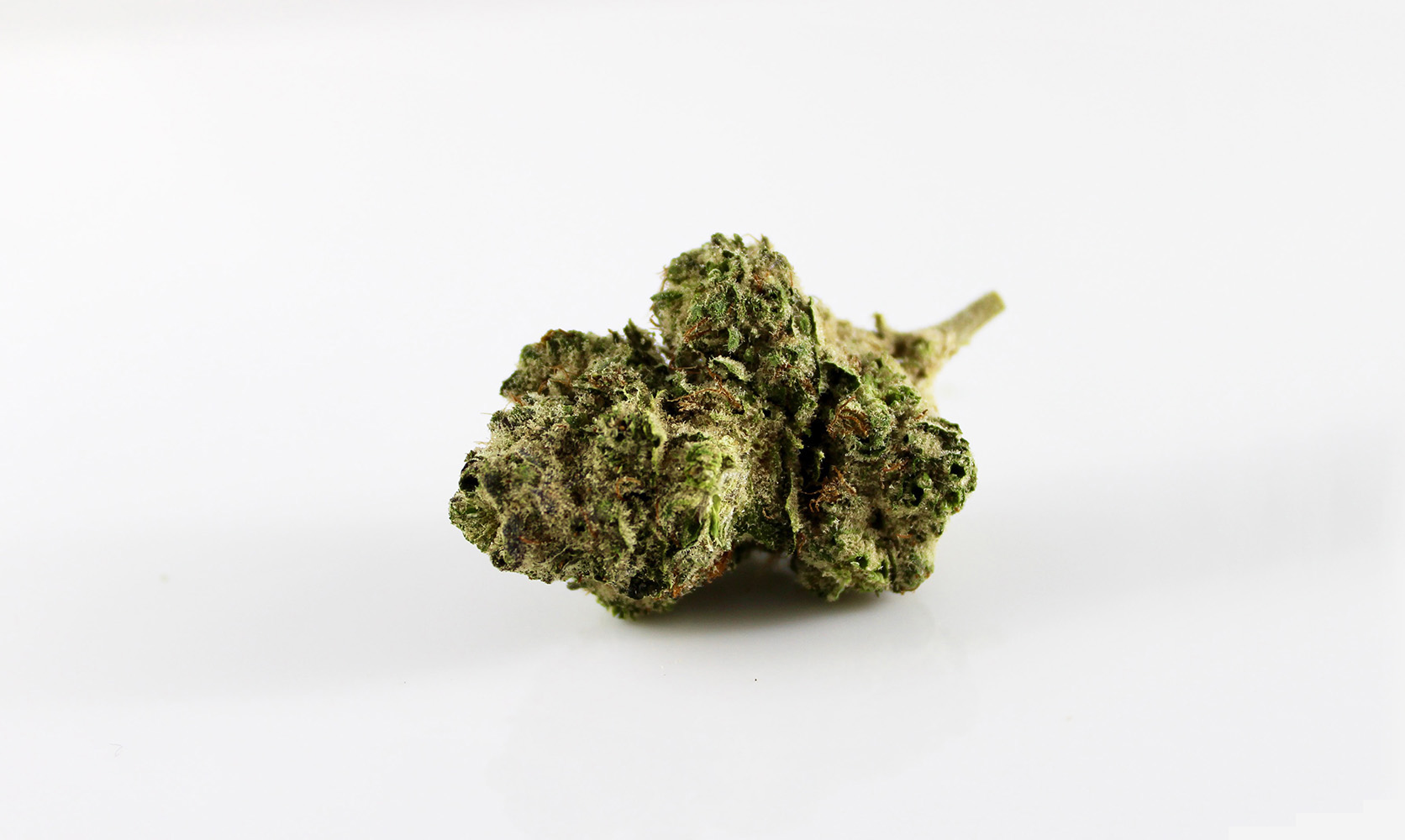 Large bud of pink rockstar strain weed online Canada. Buy weed online.