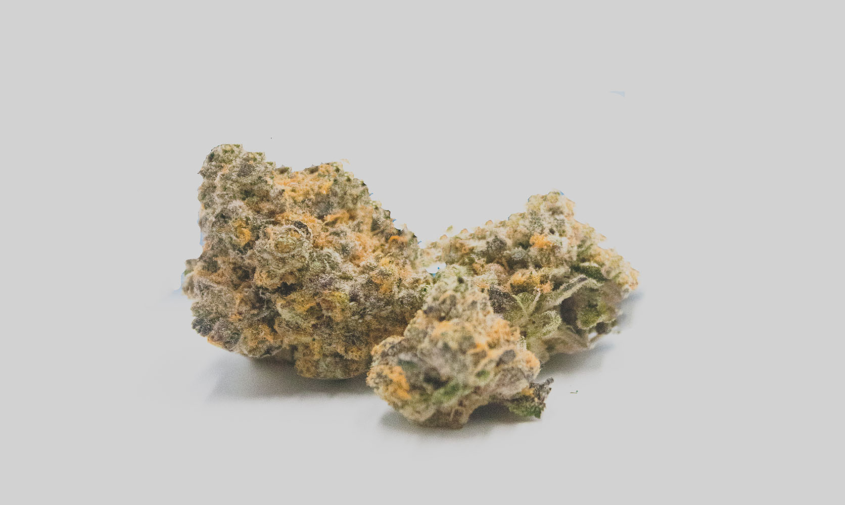 Platinum Cookies budgetbuds and cheapweed from online dispensary Canada Low Price Bud. BC cannabis.