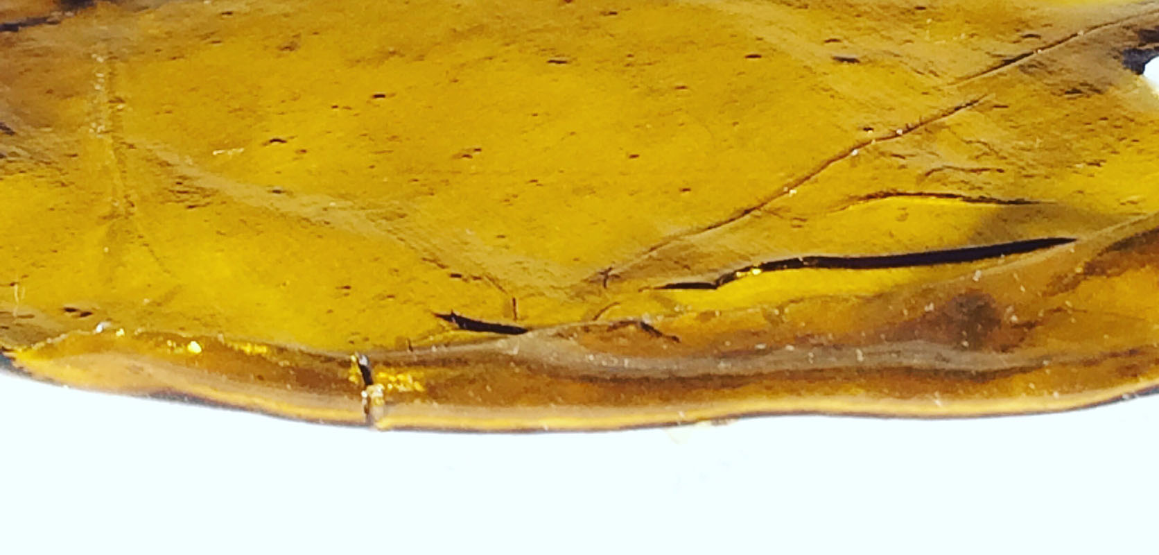 what color is shatter? Light shatter image. is light shatter or dark shatter better? where to buy best shatter online in canada. Buy weed online for canada delivery. best mail order marijuana dispensary. best pot shop. weed for sale.