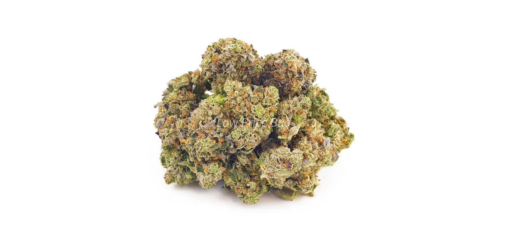 Blue Amnesia weed online Canada. dispensary for edibles and dab pen. weed shop. weeds online. Dispencary.