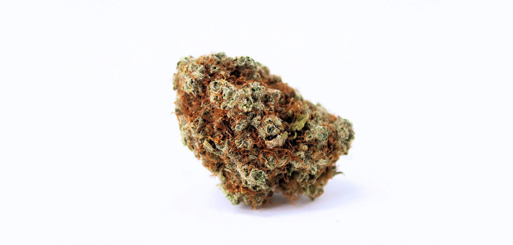 Blu Dream weed online Canada from Low Price Bud online dispensary for BC cannabis. how much does Blue Dream sell for in Canada? buy weed online. 