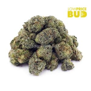 Chemo Kush (AAAA) – Popcorn Nugs Buy Chemo Kush (AAAA) – Popcorn Nugs online Canada