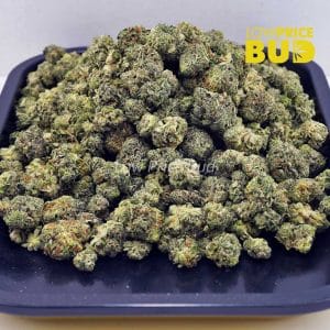 Chemo Kush (AAAA) – Popcorn Nugs Buy Chemo Kush (AAAA) – Popcorn Nugs online Canada