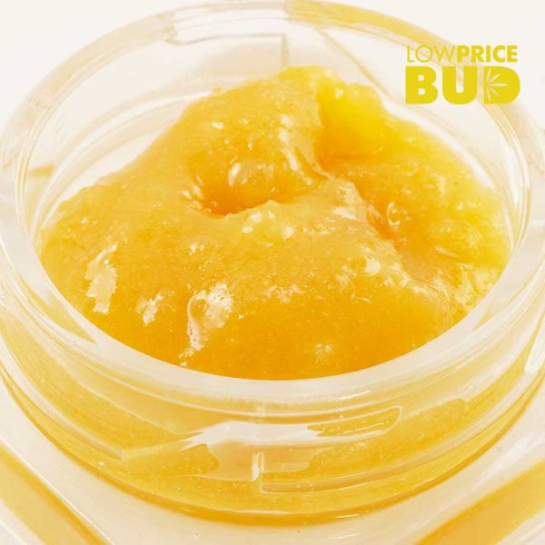 Buy Live Resin – Fucking Incredible online Canada