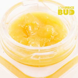 Caviar – God’s Green Crack Buy Caviar – God’s Green Crack online Canada