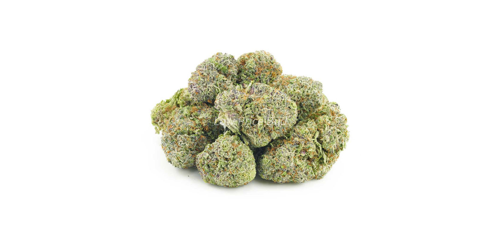 Budge Buds Green Crack weed online Canada. online dispensary. weed shop. moon rock weed.