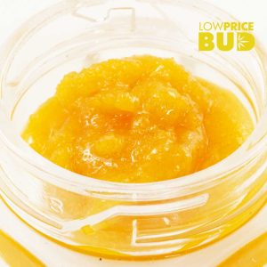 Buy Caviar – Orange Crush online Canada