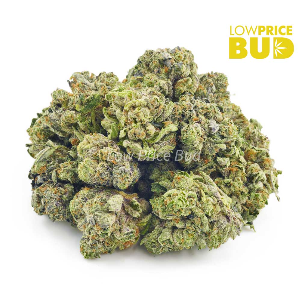 Powdered Donuts (AAAA) Buy Powdered Donuts (AAAA) online Canada