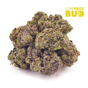 Buy Purple Godbud (Craft Cannabis) online Canada