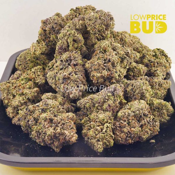 Buy Purple Godbud (Craft Cannabis) online Canada
