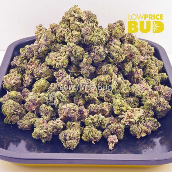 Buy Purple Haze (AAAA) – Popcorn Nugs online Canada