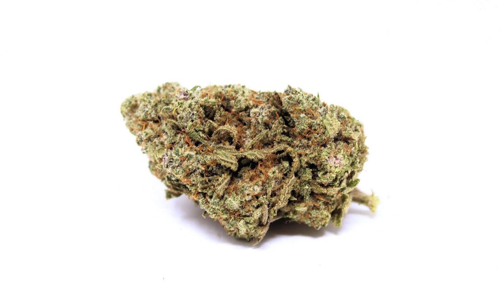 Pink Gorilla Strain budget buds from Low Price Bud online dispensary Canada for mail order marijuana.