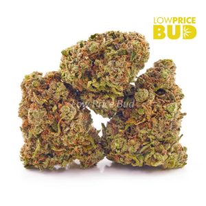 Buy Sour Berry (AA) online Canada