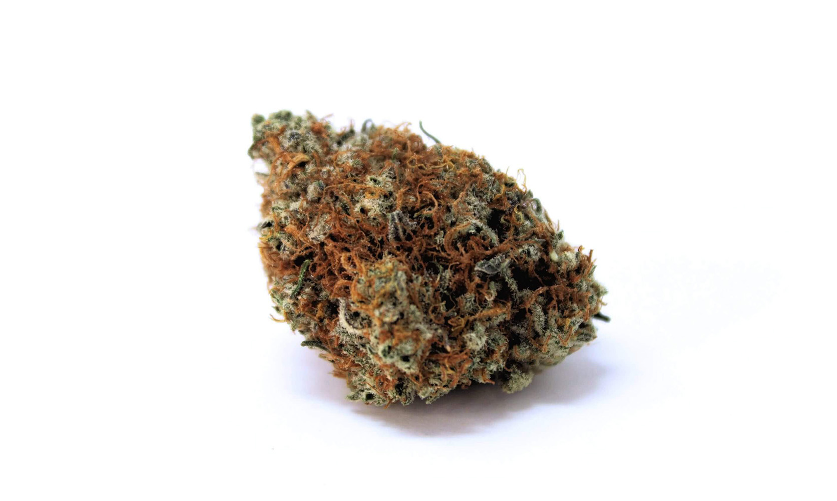 Master Scout weed strain budget buds at Low Price Bud online dispensary Canada for cheap weed.