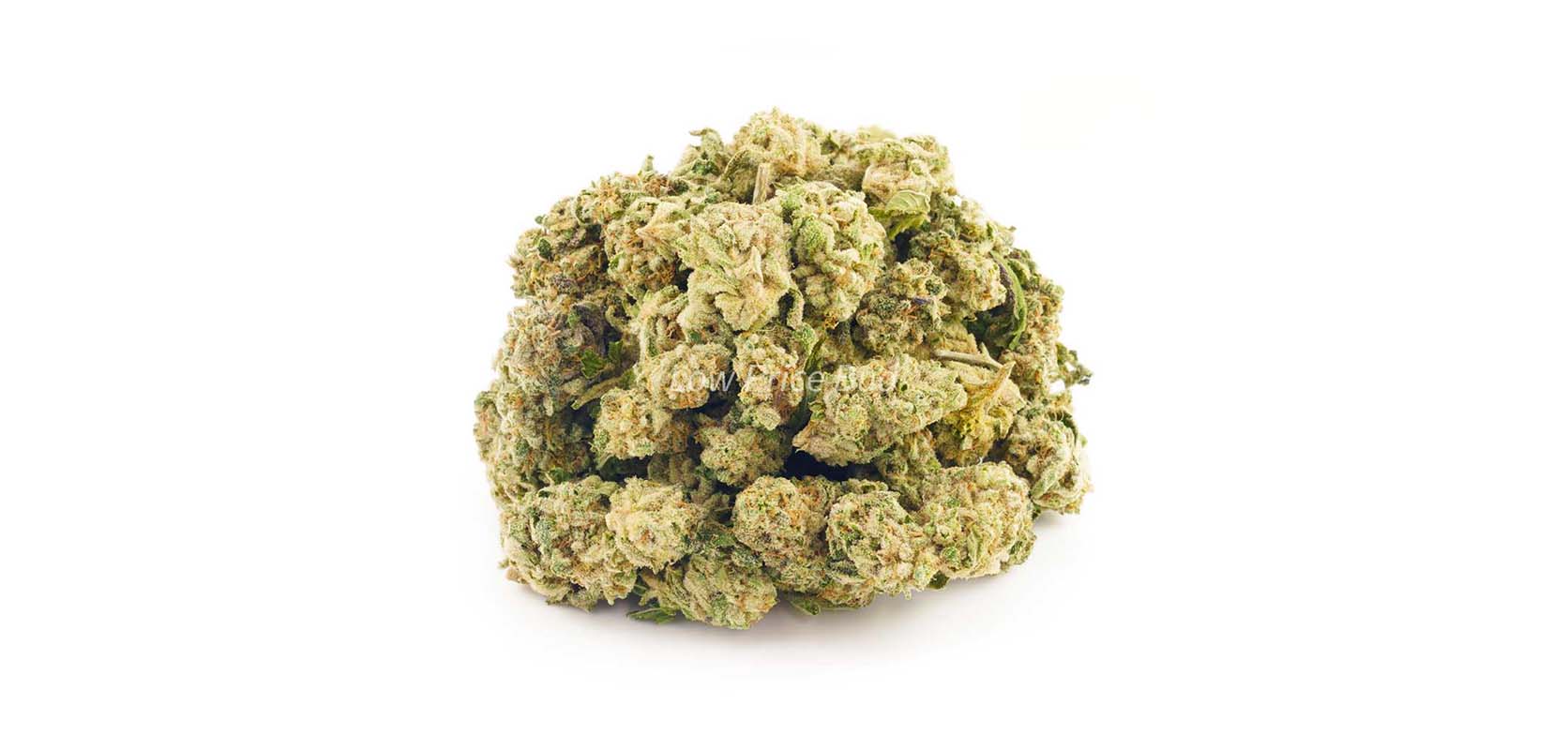 Buy weed Watermelon Zkittlez budget buds at online dispensary Canada to order weed online. BC cannabis. Canadian online dispensary.
