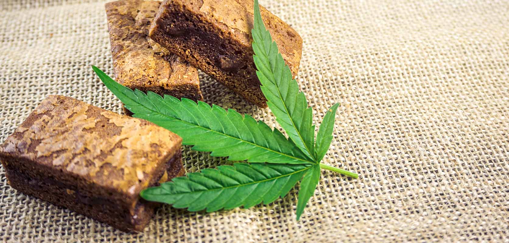 Baked edibles, weed brownies, and a cannabis leaf. online dispensary. weed shop. moon rock weed.