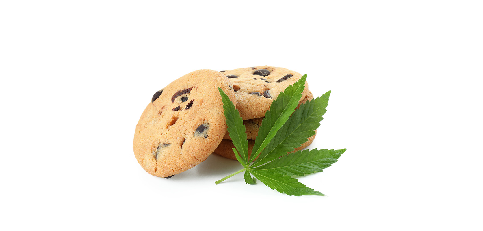 Marijuana edibles weed chocolate chip cookies with THC. Buy weed edibles online in Canada. edibles online.