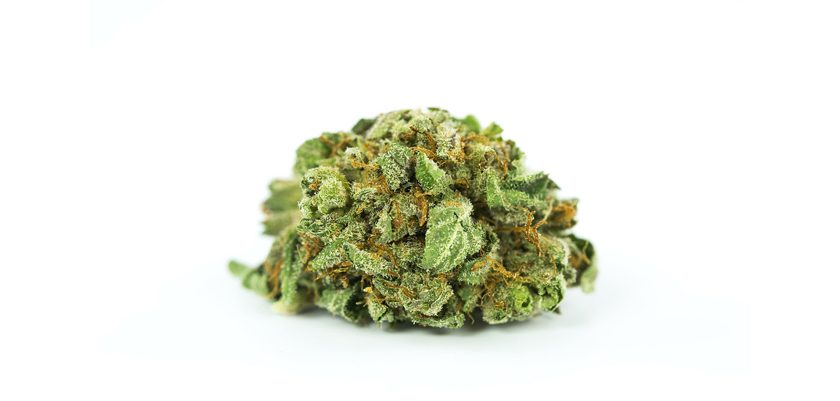 Powdered Donuts Strain budget buds from online dispensary Canada Low Price Bud. weed shop. budmail. buy weed online canada. gummys and vape pens.